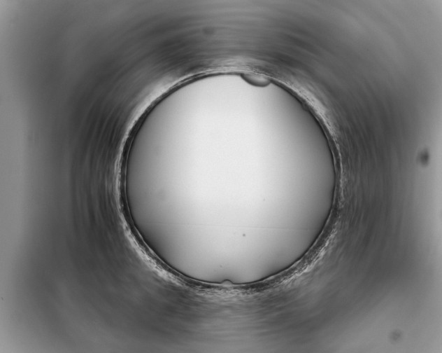 X0000097950949200804071002