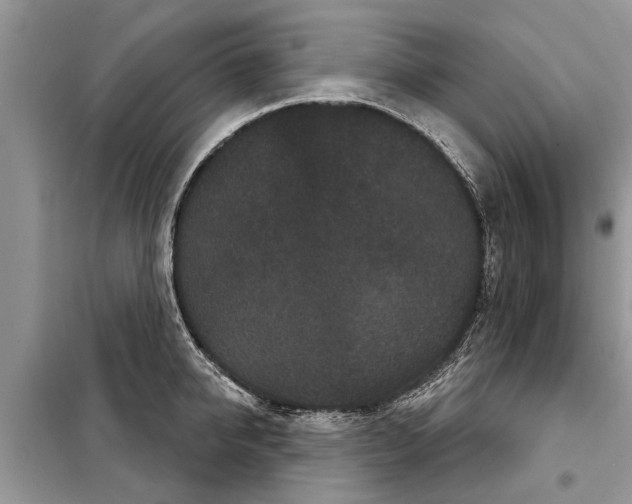 X0000097950950200804071002
