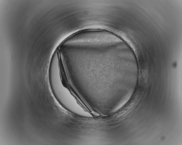 X0000097950951200804071002