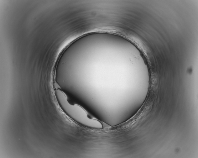 X0000097950952200804071002