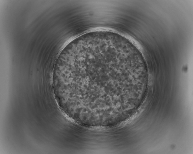 X0000097950953200804071002