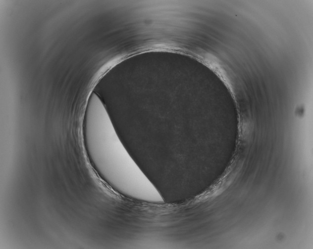 X0000097950954200804071002