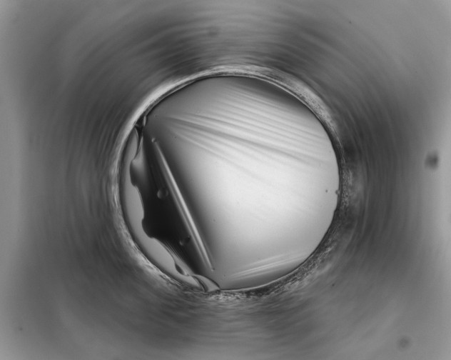 X0000097950955200804071002