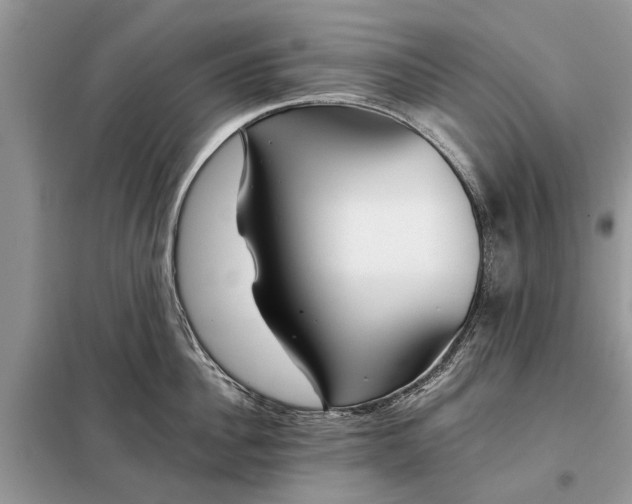 X0000097950956200804071002