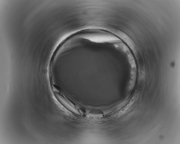 X0000097950958200804071002