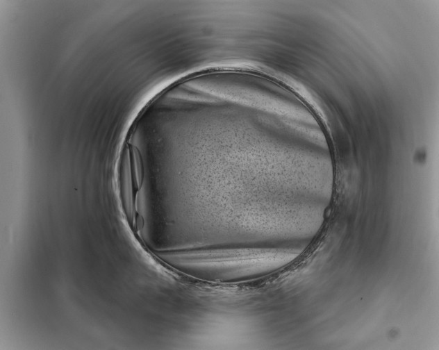 X0000097950959200804071002