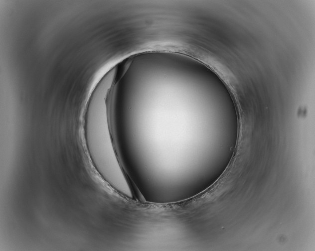 X0000097950960200804071002