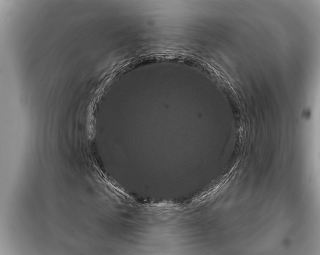 X0000097950961200804071001