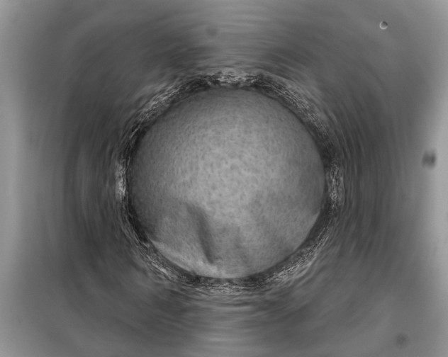 X0000097950962200804071001