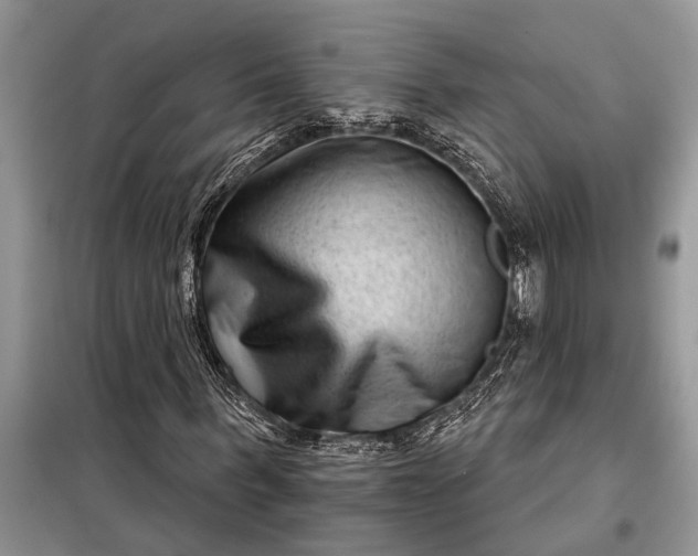 X0000097950963200804071001