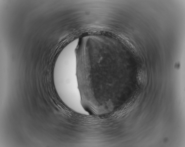 X0000097950964200804071001