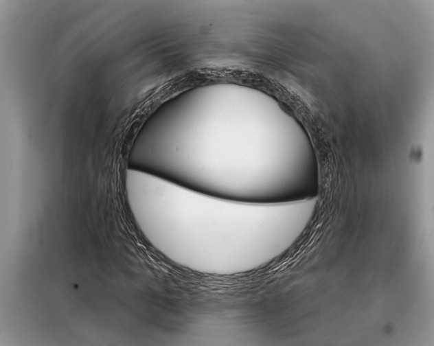 X0000097950965200804071001