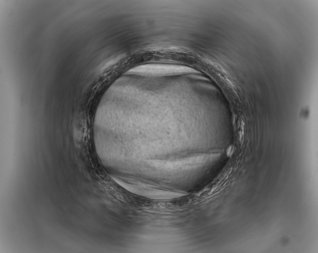 X0000097950966200804071001