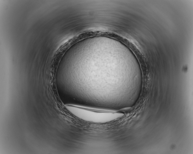 X0000097950967200804071001