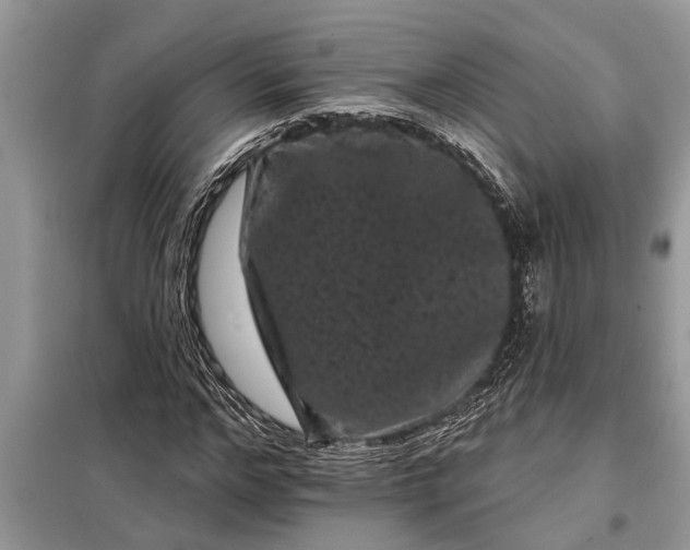 X0000097950968200804071001