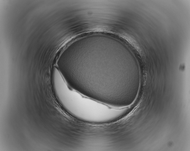 X0000097950969200804071001