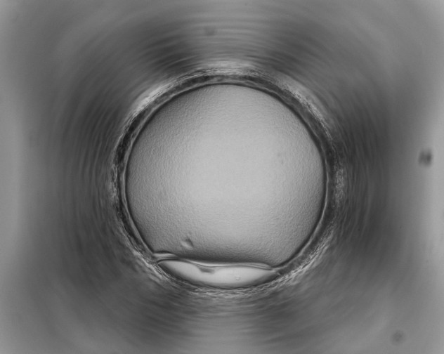 X0000097950970200804071001