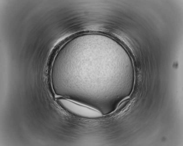 X0000097950971200804071001