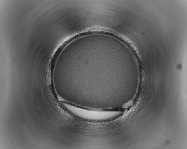 X0000097950973200804071001