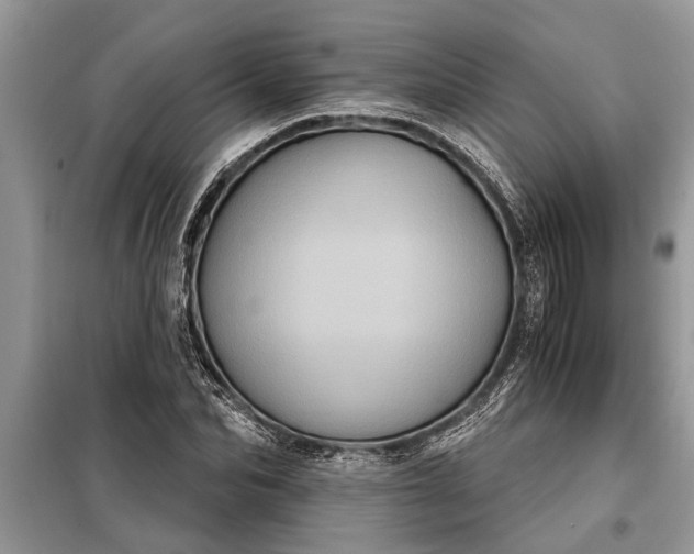 X0000097950974200804071000