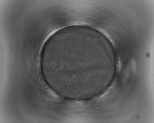X0000097950975200804071000