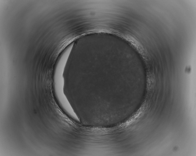 X0000097950977200804071000