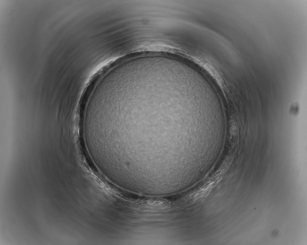 X0000097950979200804071000