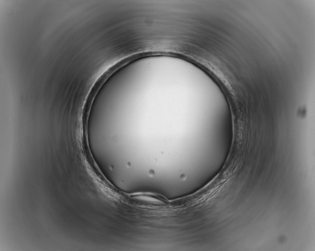 X0000097950980200804071000