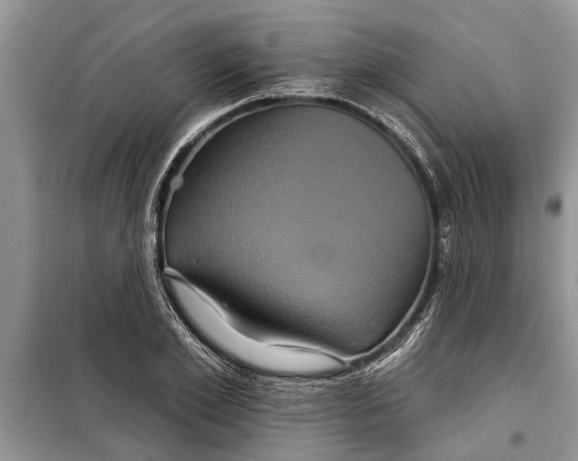 X0000097950981200804071000