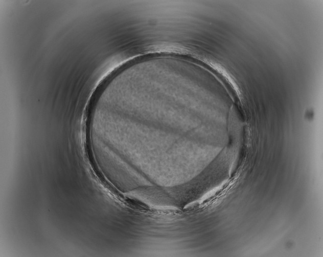 X0000097950983200804071000