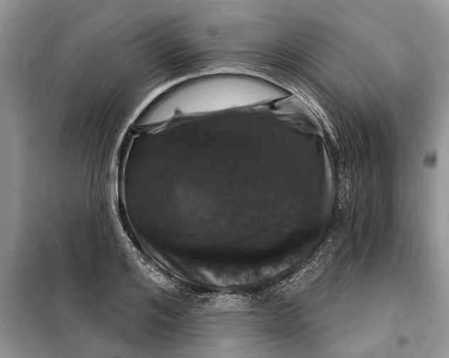 X0000097950984200804071000