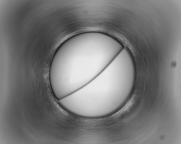 X0000097950985200804071000