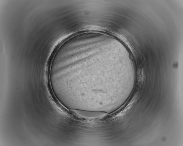 X0000097950987200804071000