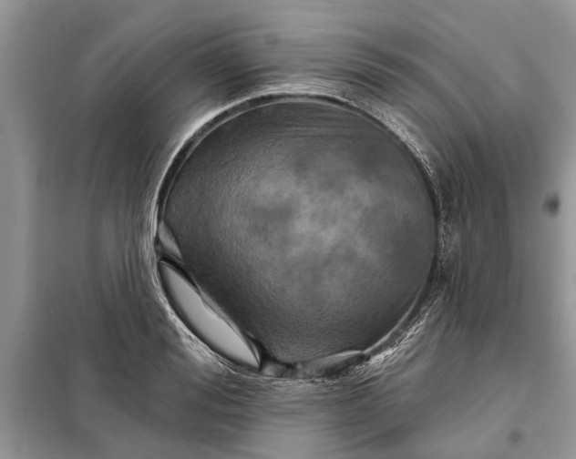X0000097950988200804071000