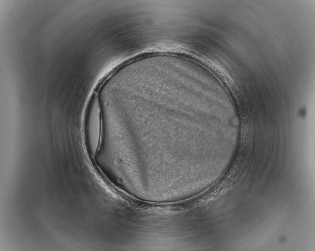 X0000097950990200804071000