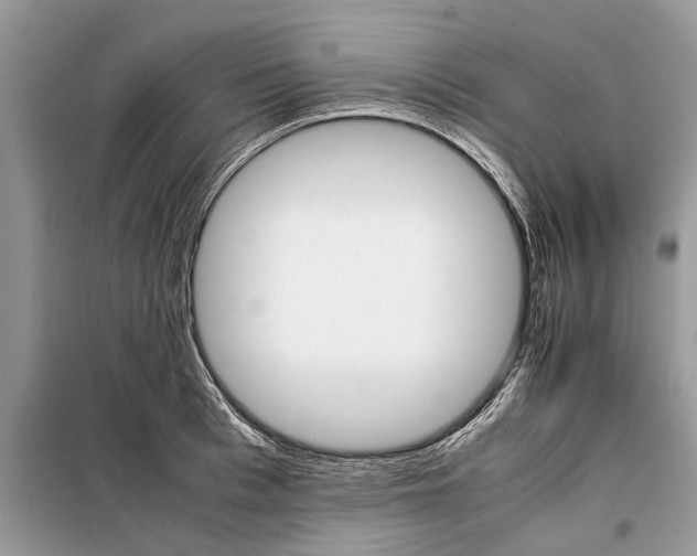 X0000097950993200804071000