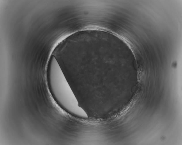 X0000097950995200804071000
