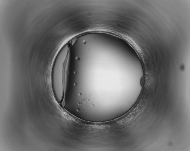 X0000097950996200804071000