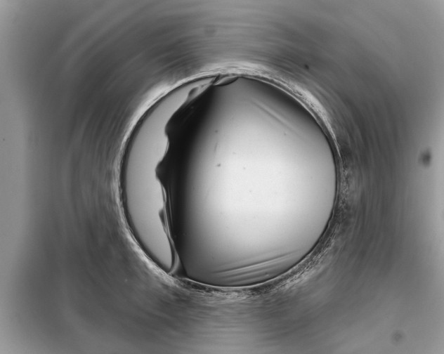 X0000097950997200804071000