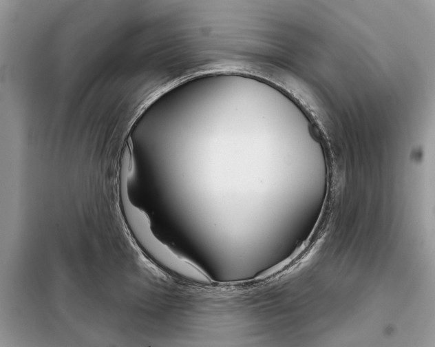 X0000097951001200804071000
