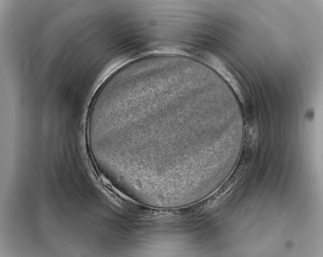 X0000097951002200804071000