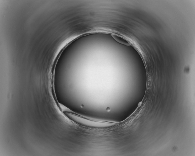 X0000097951003200804071000