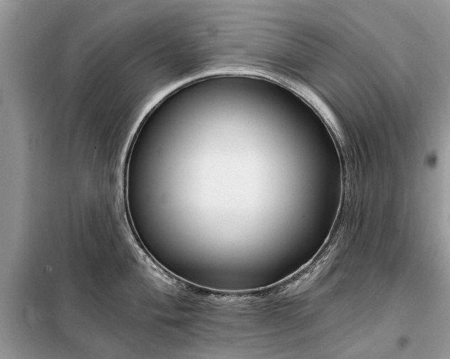 X0000097951004200804071000