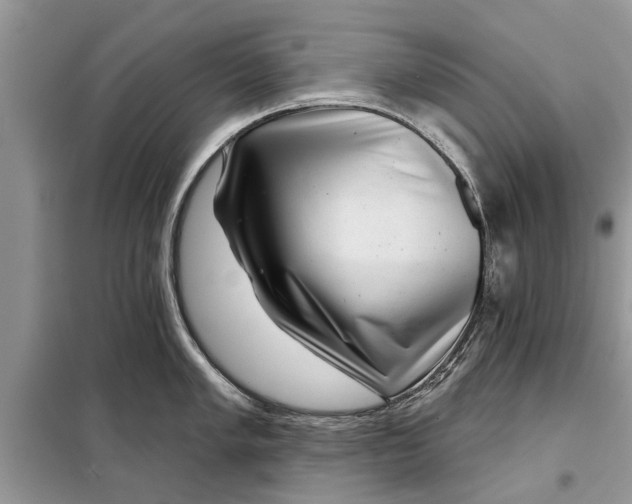 X0000097951005200804071000