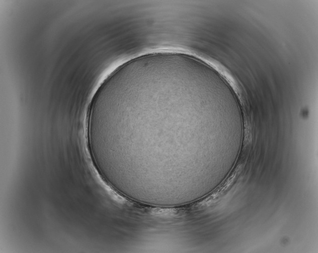 X0000097951006200804071000