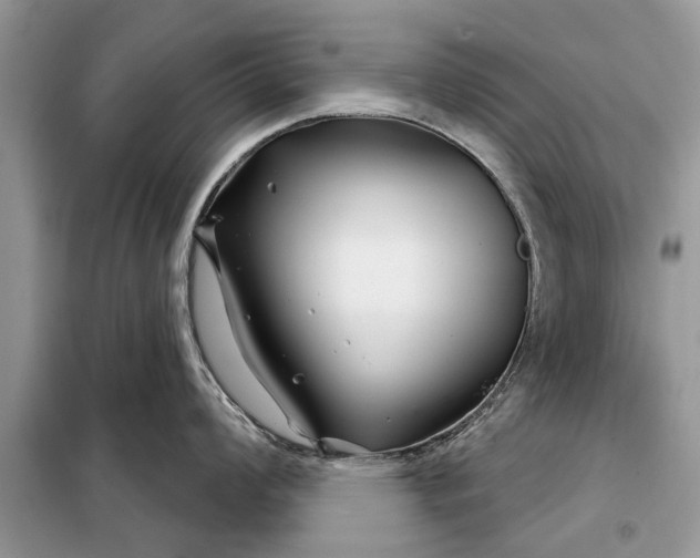 X0000097951008200804071000