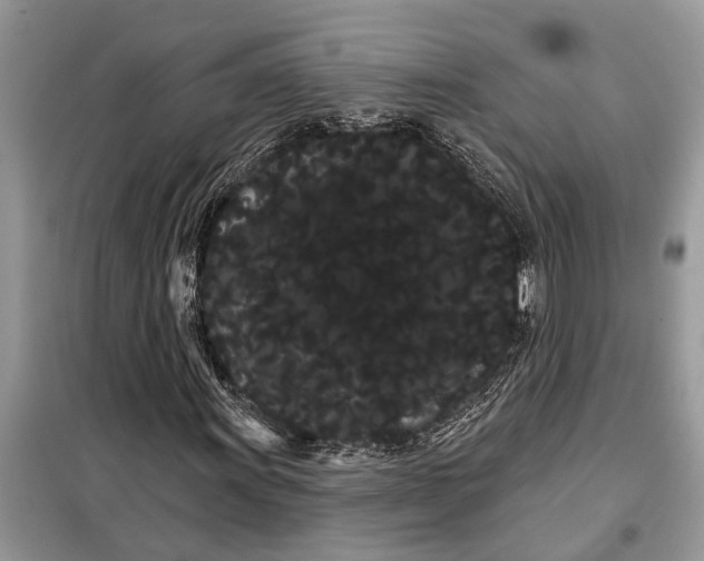 X0000097951011200804070959