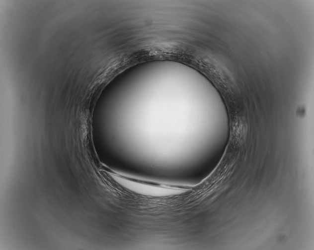 X0000097951012200804070959
