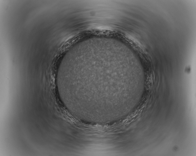 X0000097951013200804070959