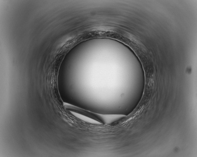 X0000097951014200804070959